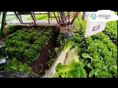 Hệ thống cánh tay rô bốt Kuka hạng nặng dành cho rô bốt KR DELTA trong việc xử lý bao bì 7 cánh tay Dof